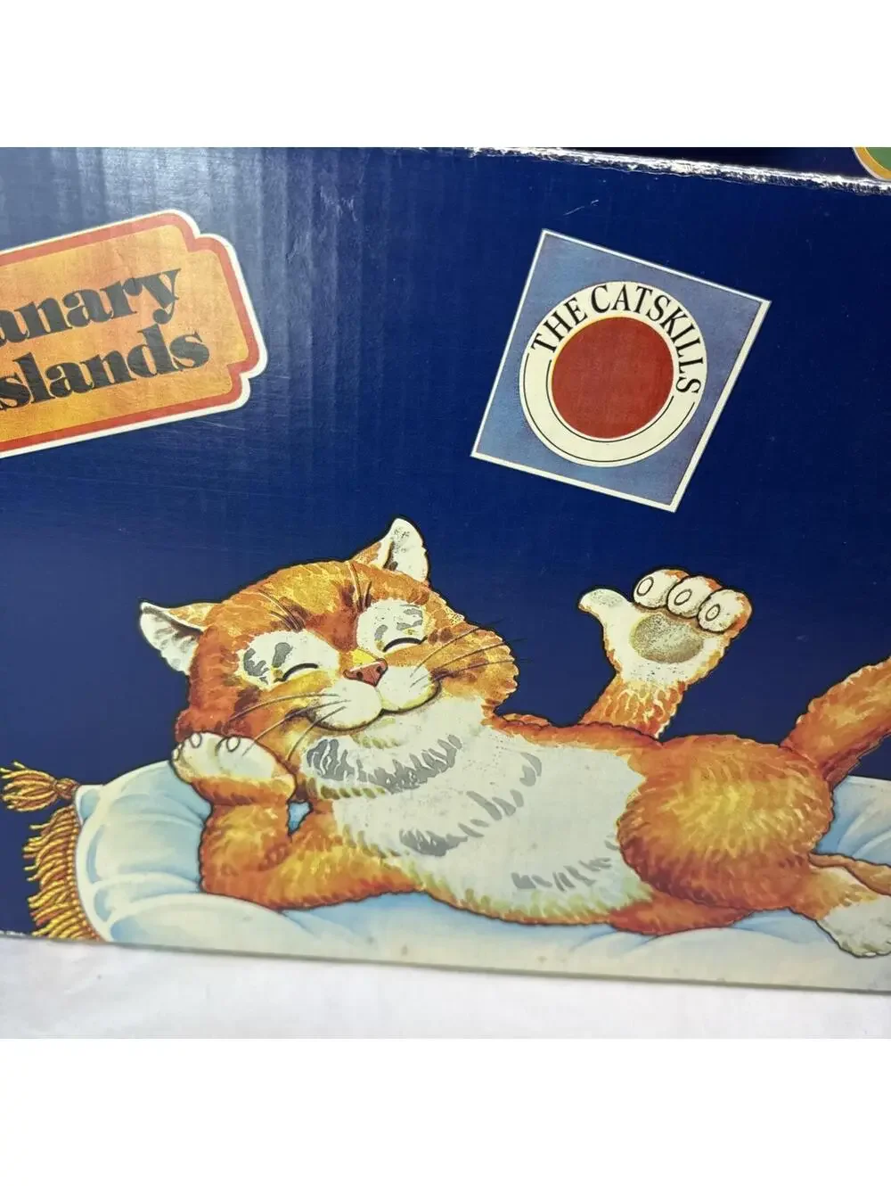 vintage Cosmic Cat Shuttle cardboard carrier Pet Transporter Friskies Retro RARE
